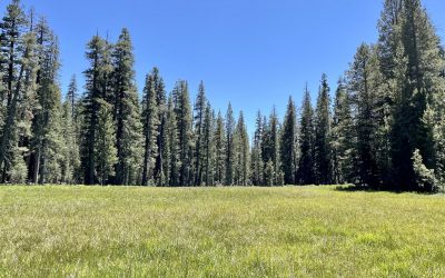 Tuolumne County OES is updating its Hazard Mitigation Plan