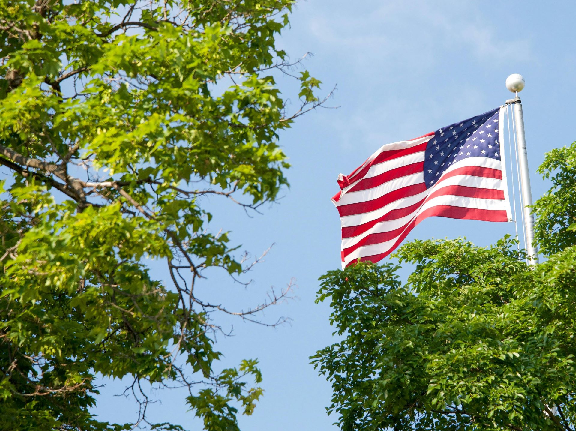 activities Sonora Elementary School