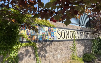 Back to School Nights – 8/20 (5-8) and 8/21 (1-4)