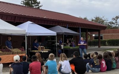 Farmers Market Returns to Sonora Elementary School