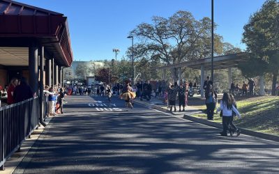 43rd Annual Turkey Trot 2025